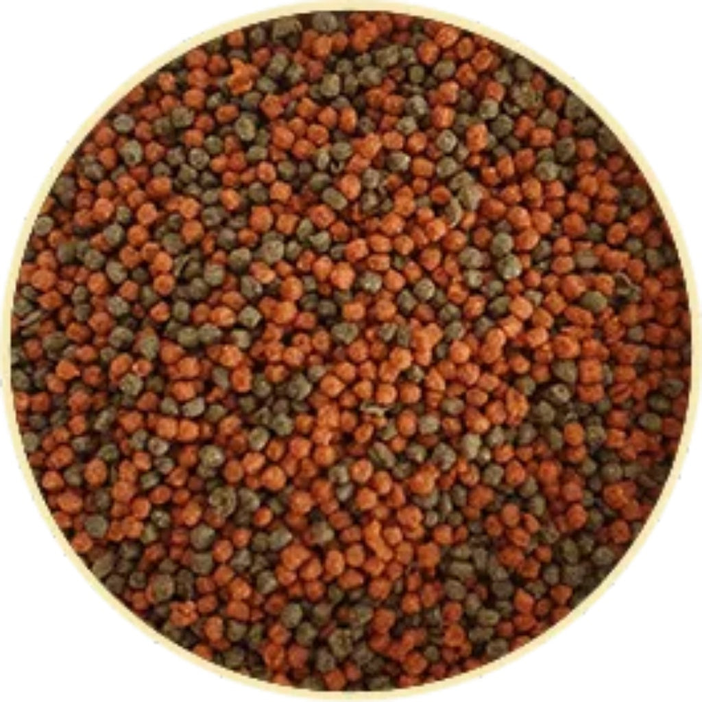 Ração Poytara Betta Black Line 14g - Alimento Super Premium Para Peixe Beta