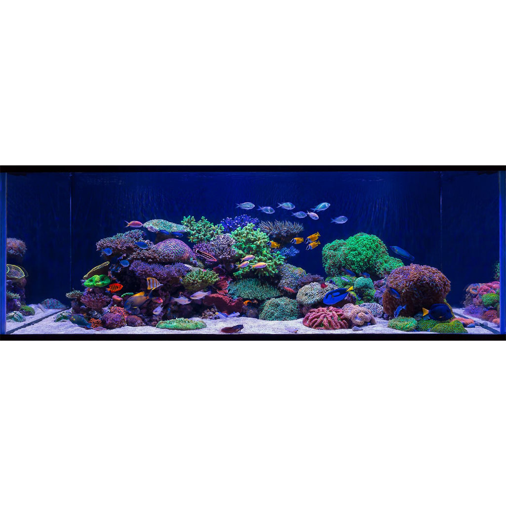 Kit Luminária 52 cm 16 cores com Controle de Lâmpada Barra Tubo Led para Aquário