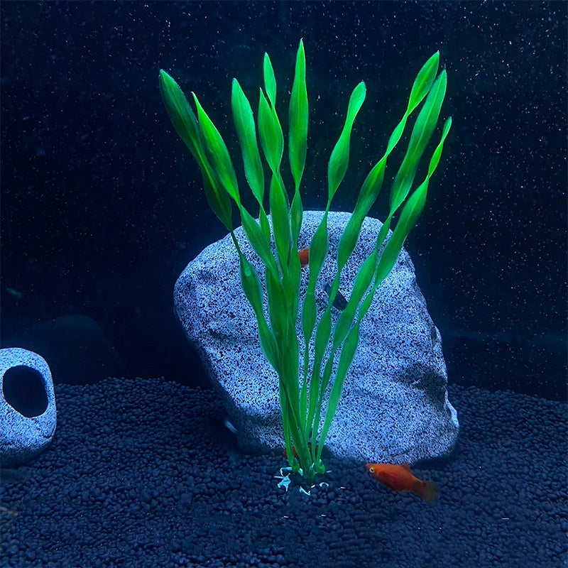 Planta Artificial Decorativa Para Aquário 22CM