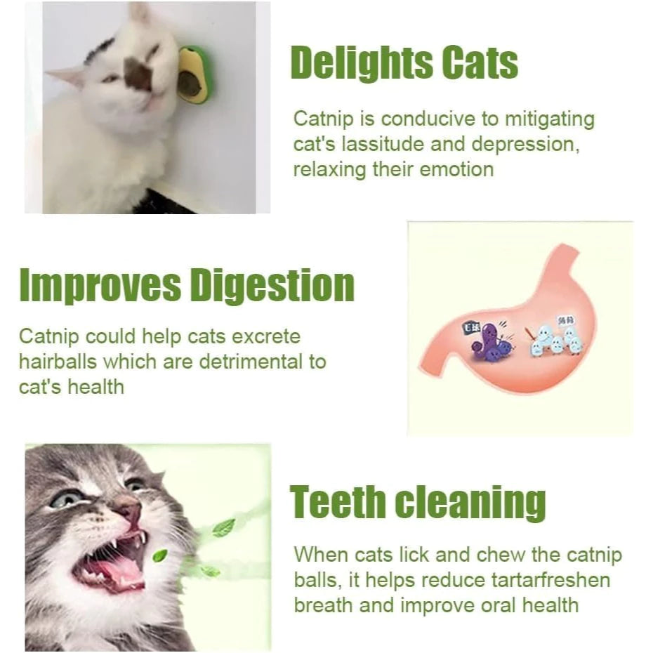 Kit 1-2 Abacate De Brinquedo Para Gatos Com Catnip Erva Gato Natural