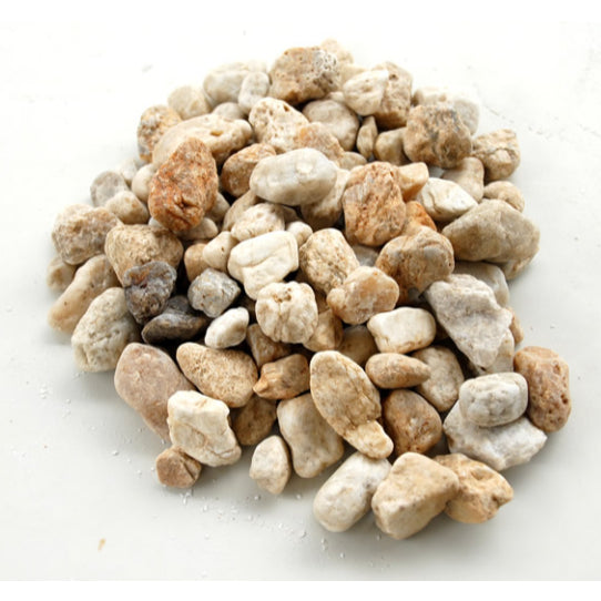 Pedra Seixo Natural Pedrinha p/ Aquario 1 kg + 2 Plantas Artificial