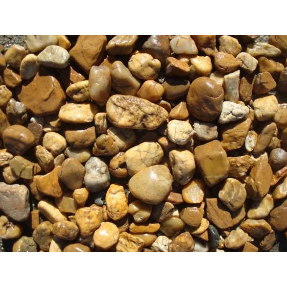 Pedra Seixo Natural Pedrinha p/ Aquario 1 kg + 2 Plantas Artificial