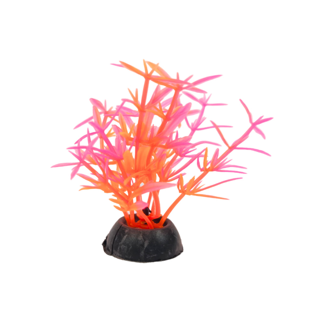 Planta Artificial Colorida Enfeite Para Aquário Oceanmax 5cm