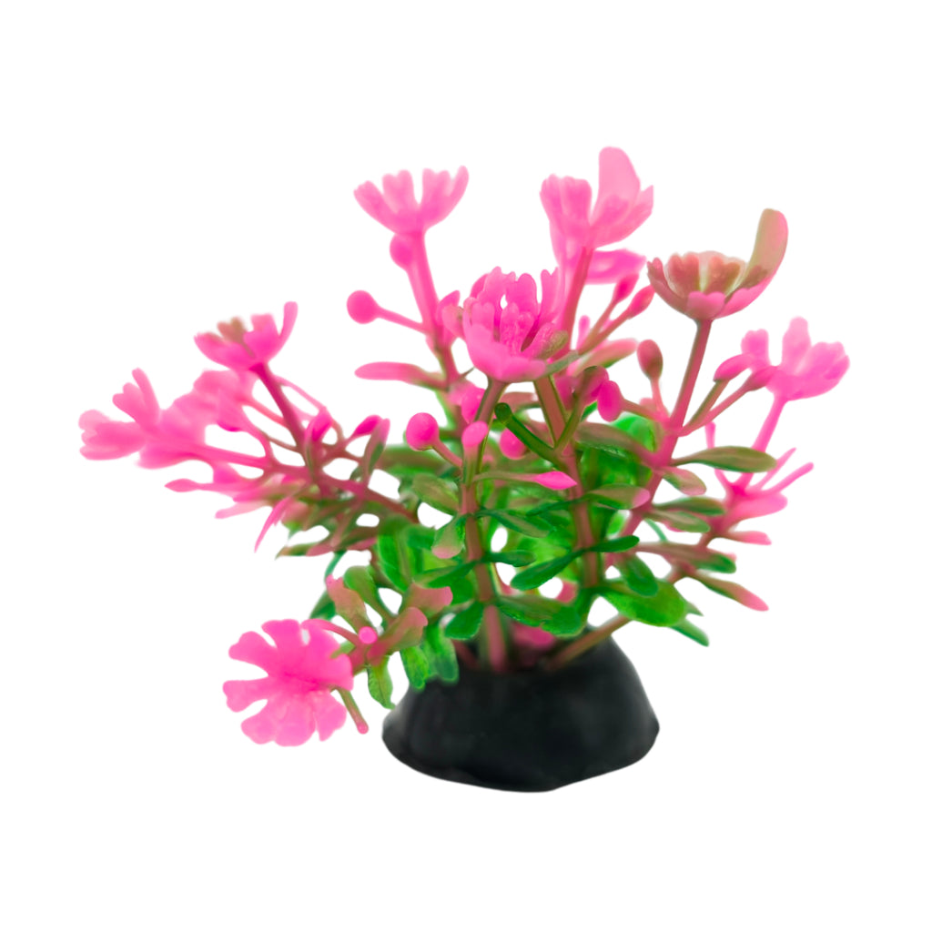 Planta Artificial Colorida Enfeite Para Aquário Oceanmax 5cm