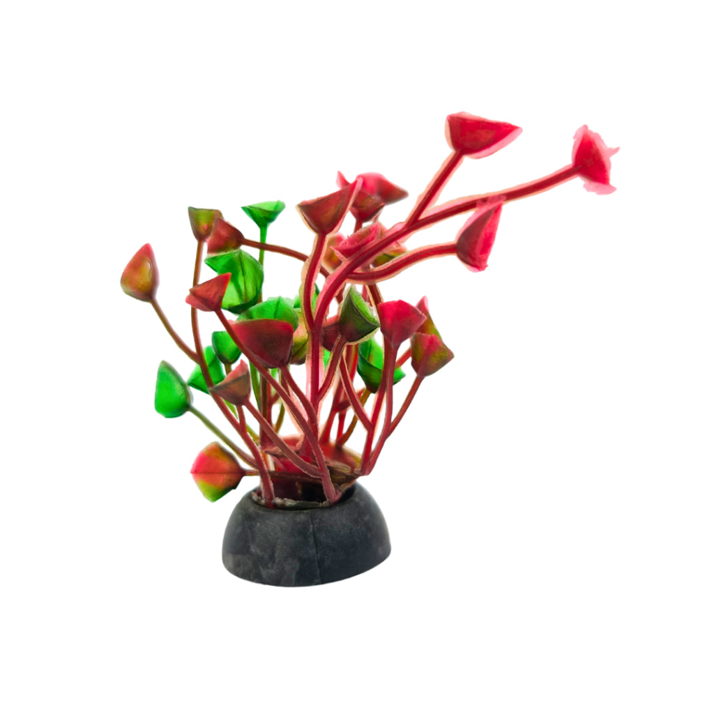Planta Artificial Colorida Enfeite Para Aquário Oceanmax 5cm