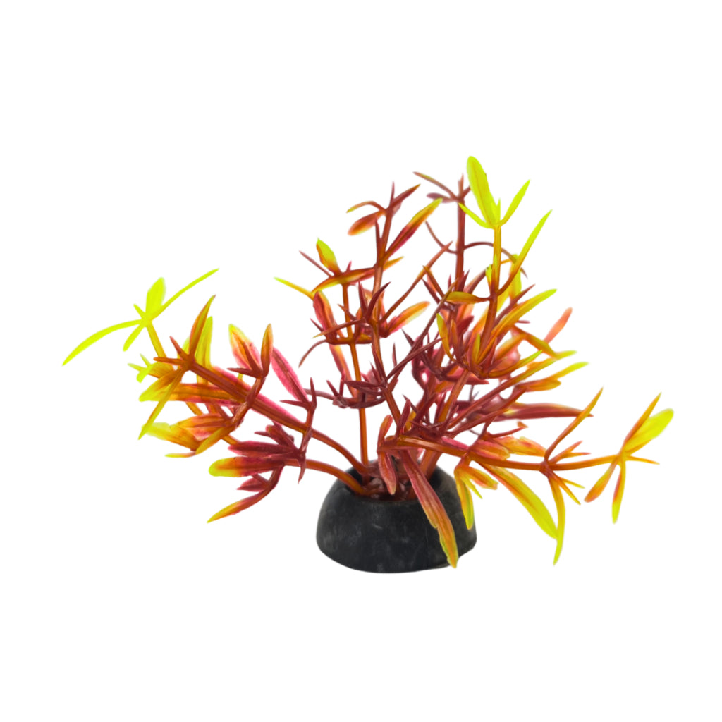 Planta Artificial Colorida Enfeite Para Aquário Oceanmax 5cm