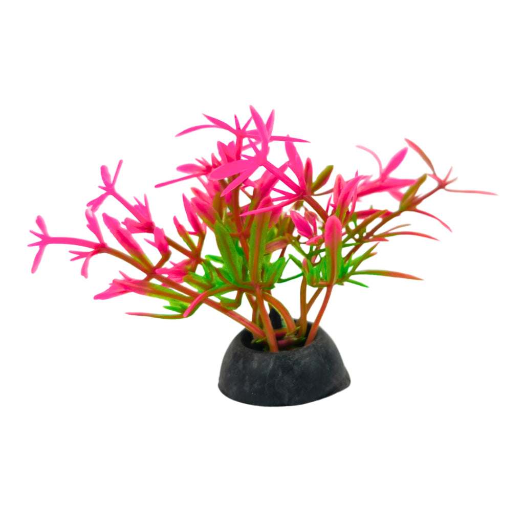 Planta Artificial Colorida Enfeite Para Aquário Oceanmax 5cm