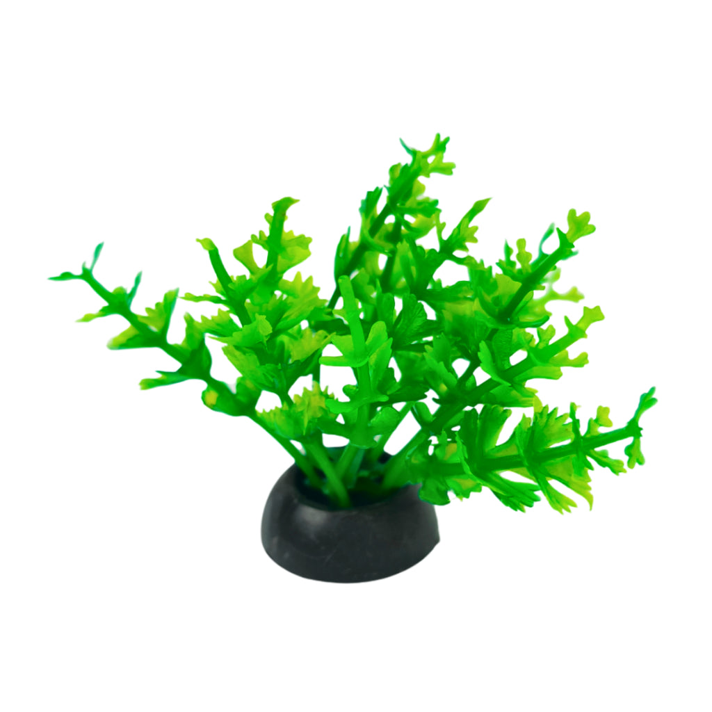 Planta Artificial Colorida Enfeite Para Aquário Oceanmax 5cm