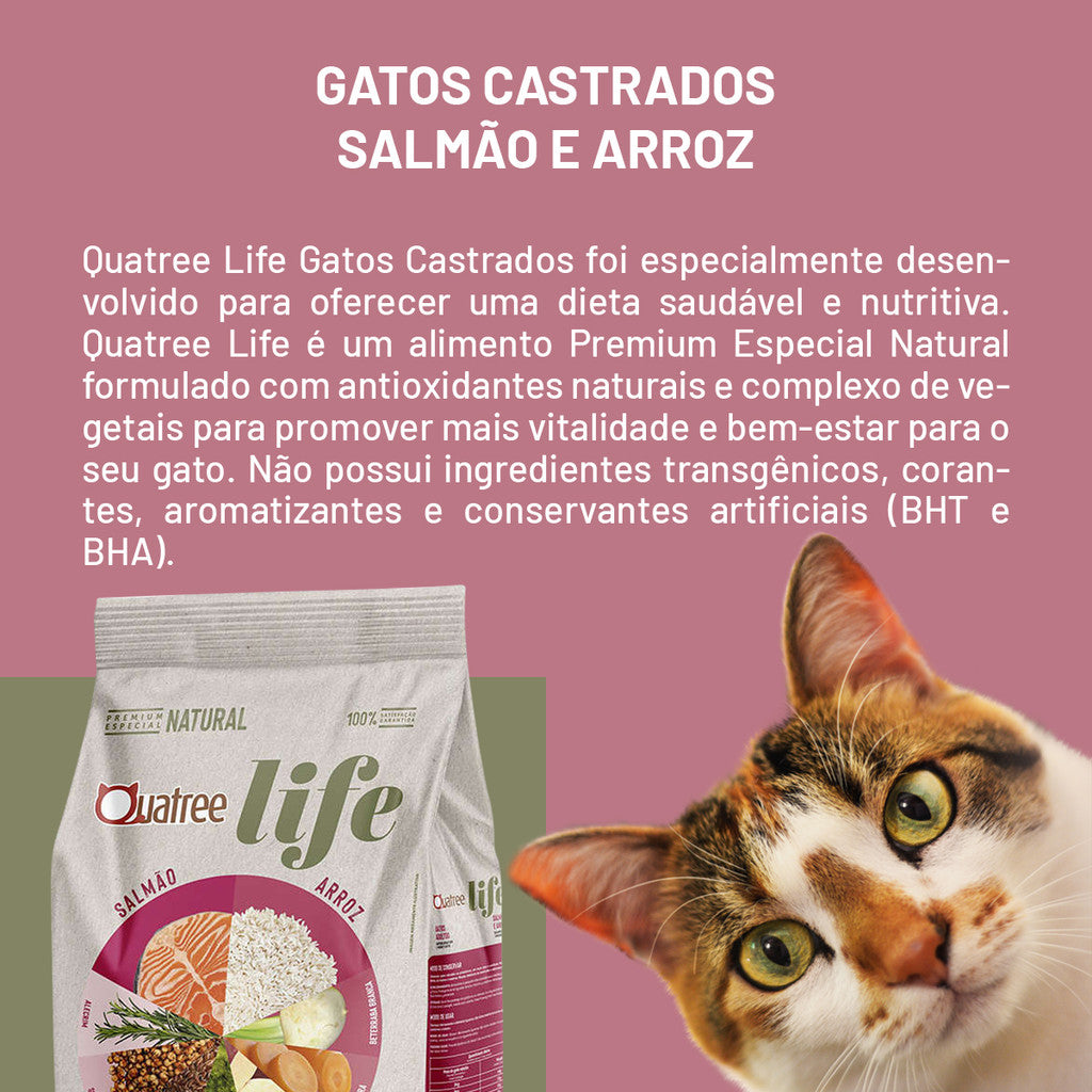 Ração Quatree Life Gatos Adultos Sabor Salmão e Arroz 10kg